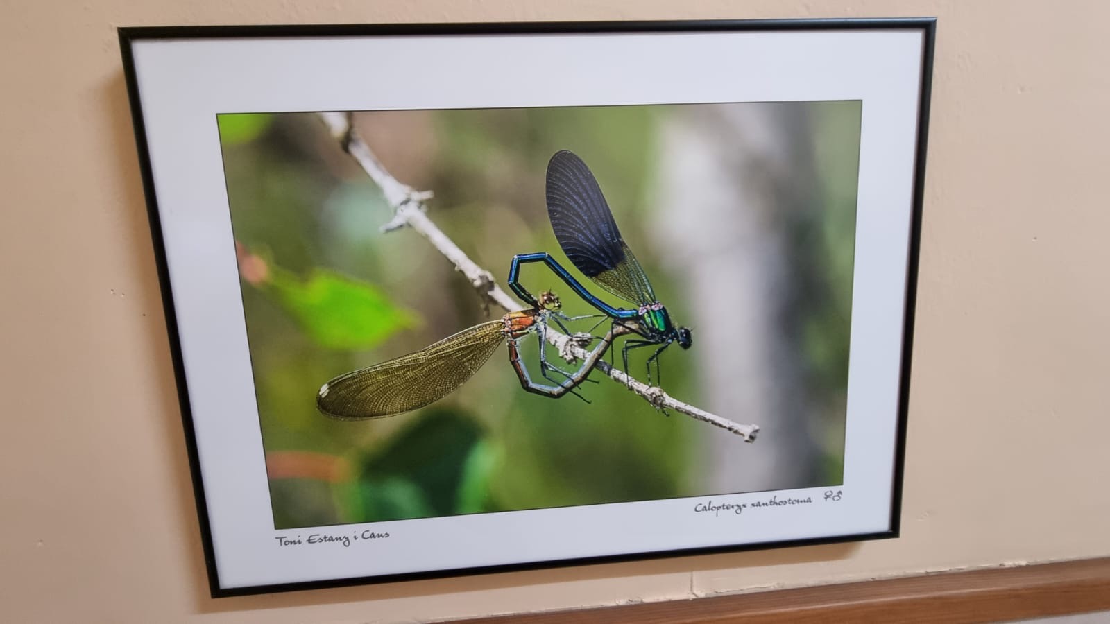 cf6b7aa6-38bd-4e6f-b369-922b5508fa0d