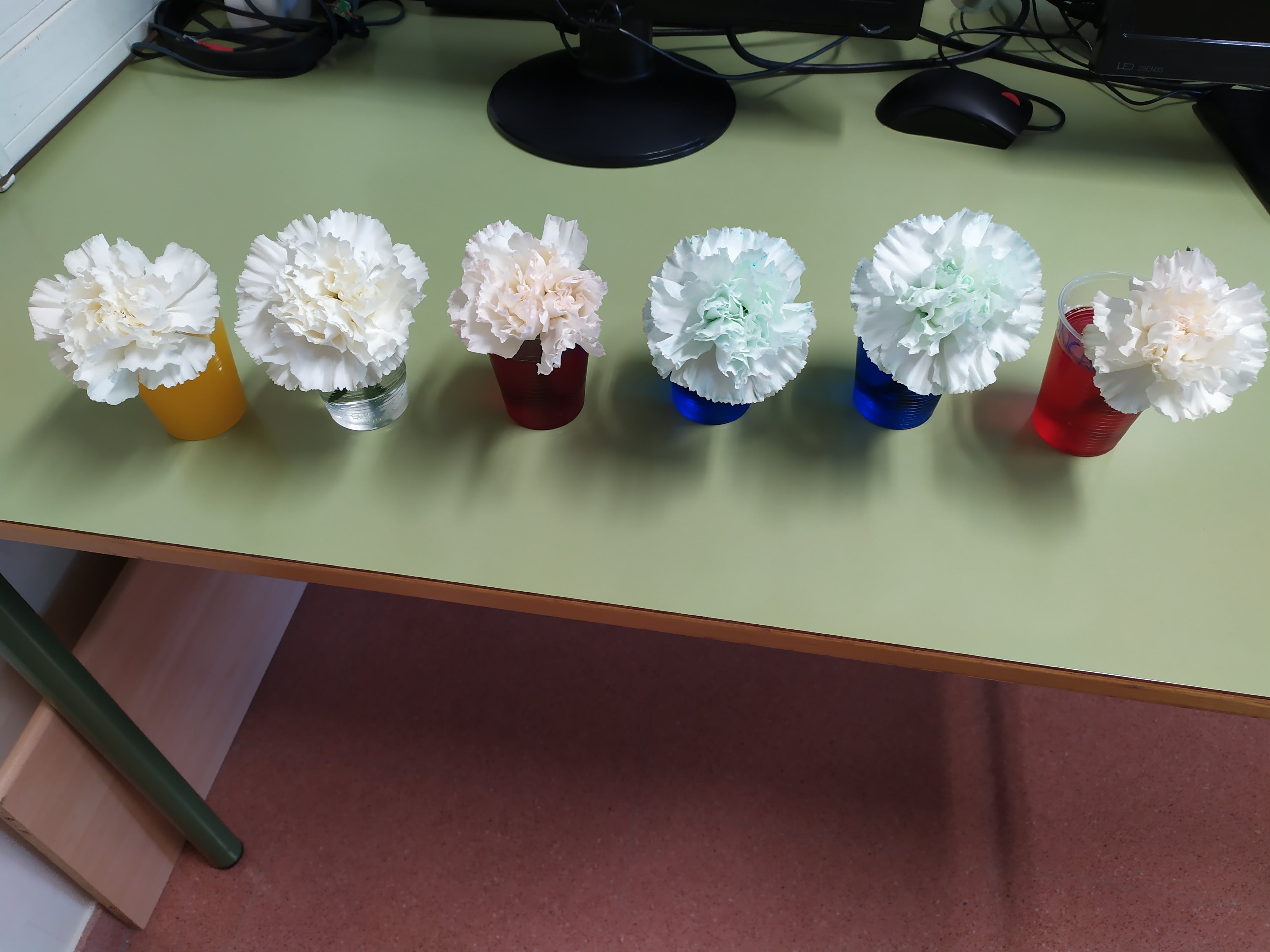 IMG_20210326_150611-min