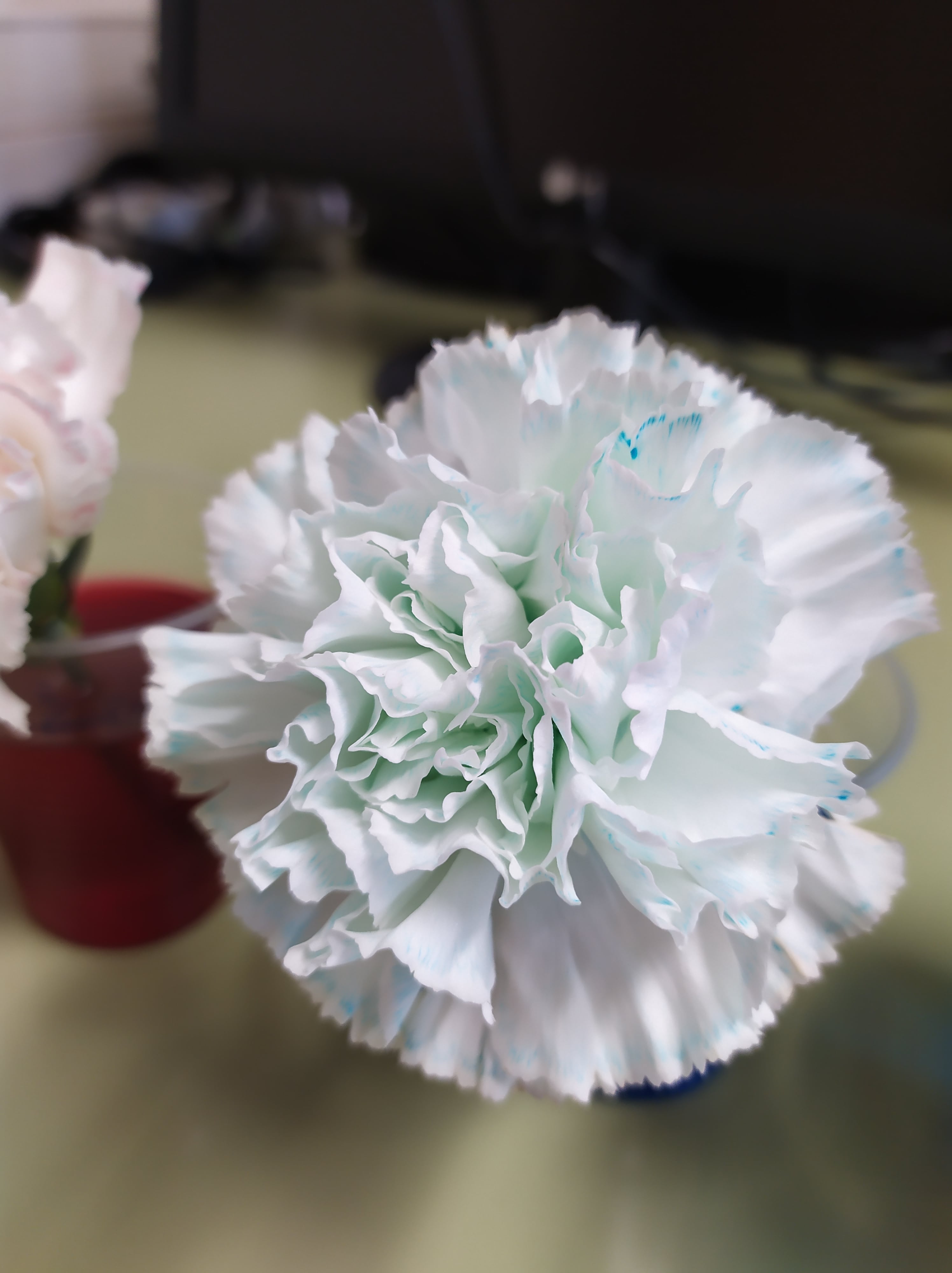 IMG_20210326_150703-min