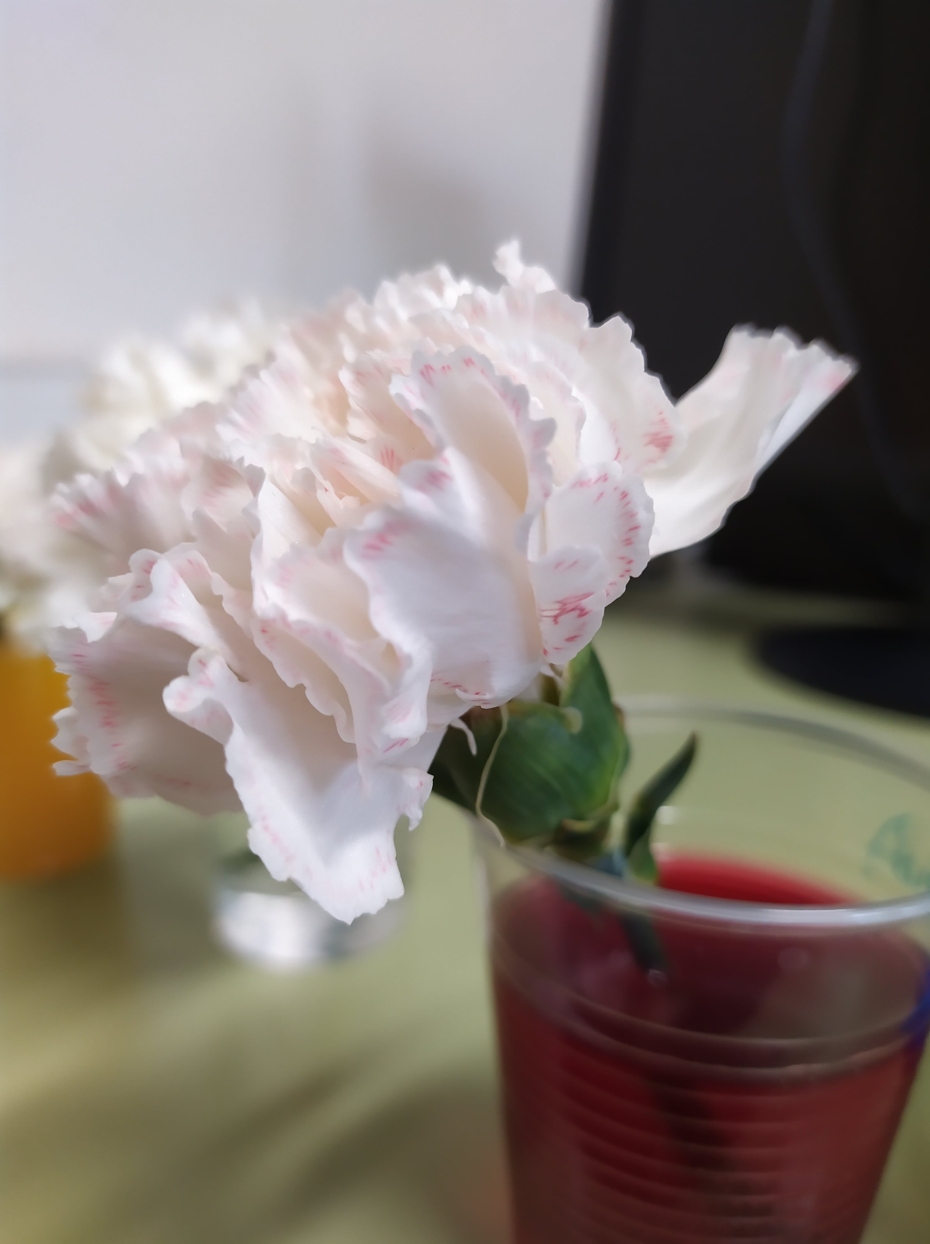 IMG_20210326_150800-min