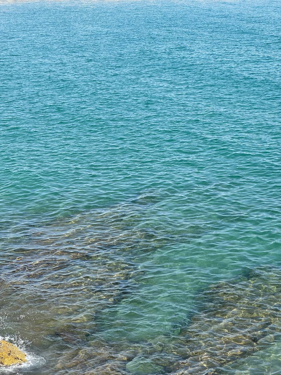 IMG_20240623_131418_752