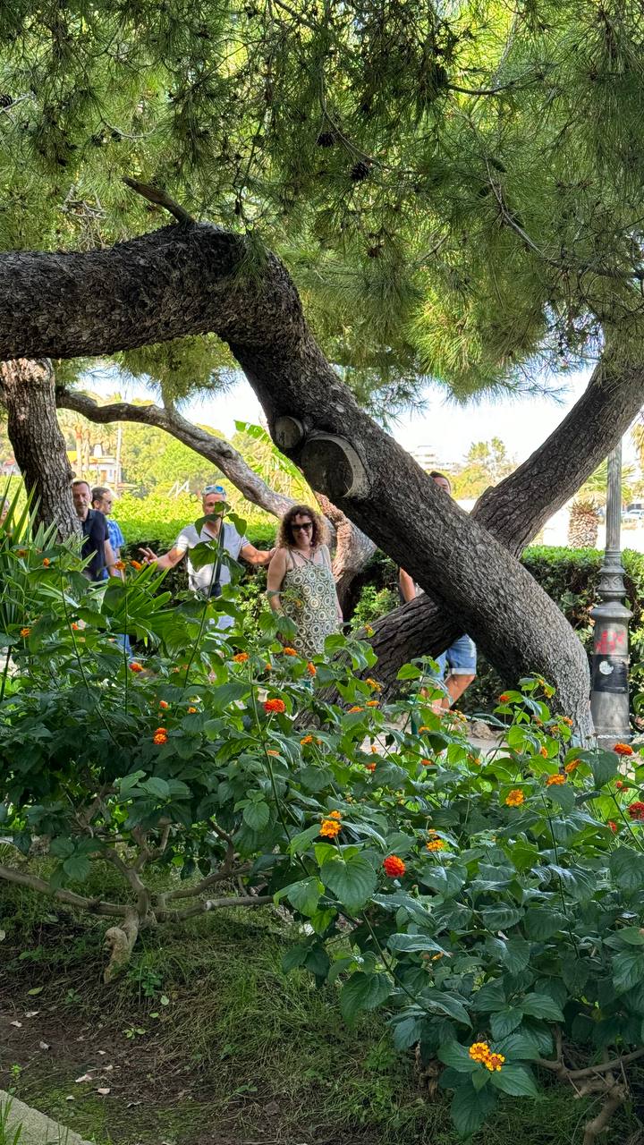 IMG_20240623_131436_278