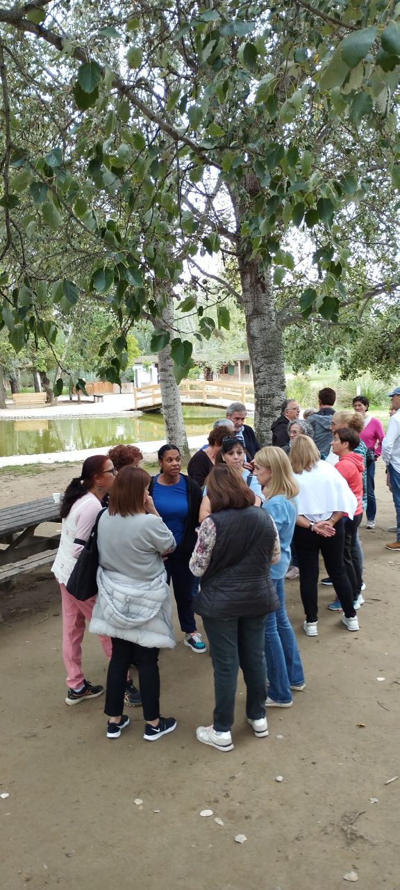 -5798601416544208104_121