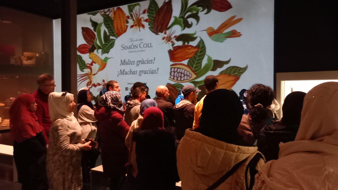 20230324_162733 (Medium)