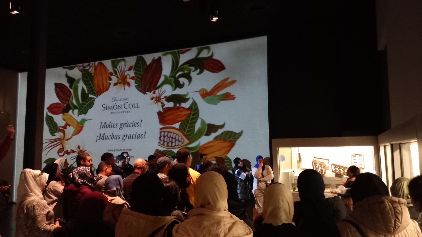 20230324_162844 (Medium)