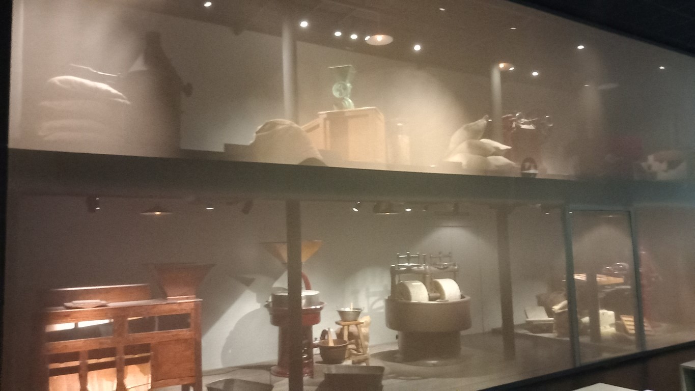 20230324_162902 (Medium)