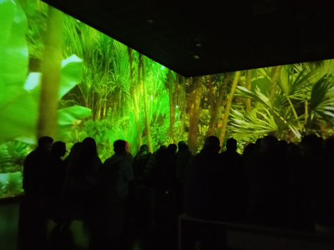 IMG_20250122_160840bb