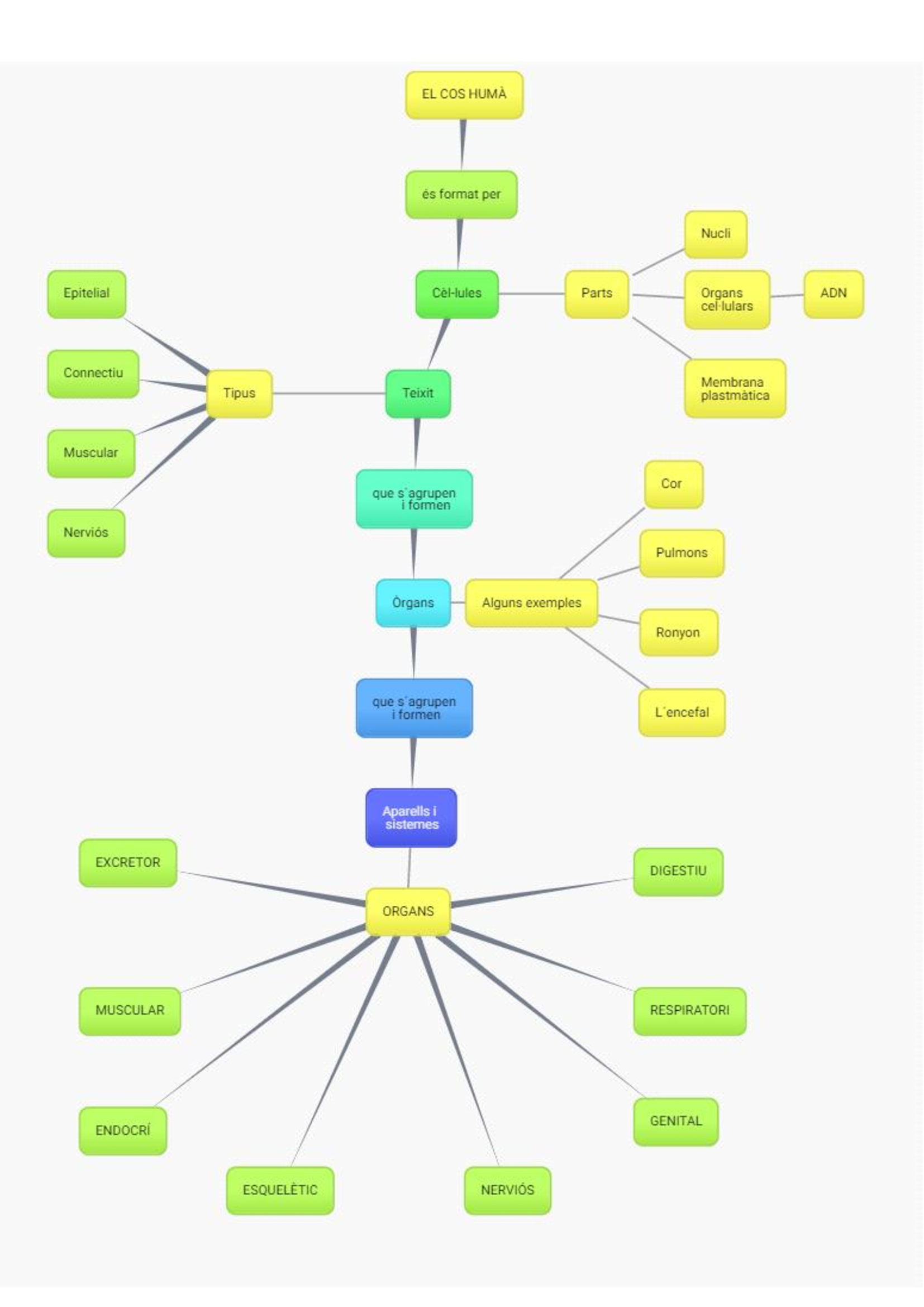 0b0d5fbaec1b31084286e626a7784760-0