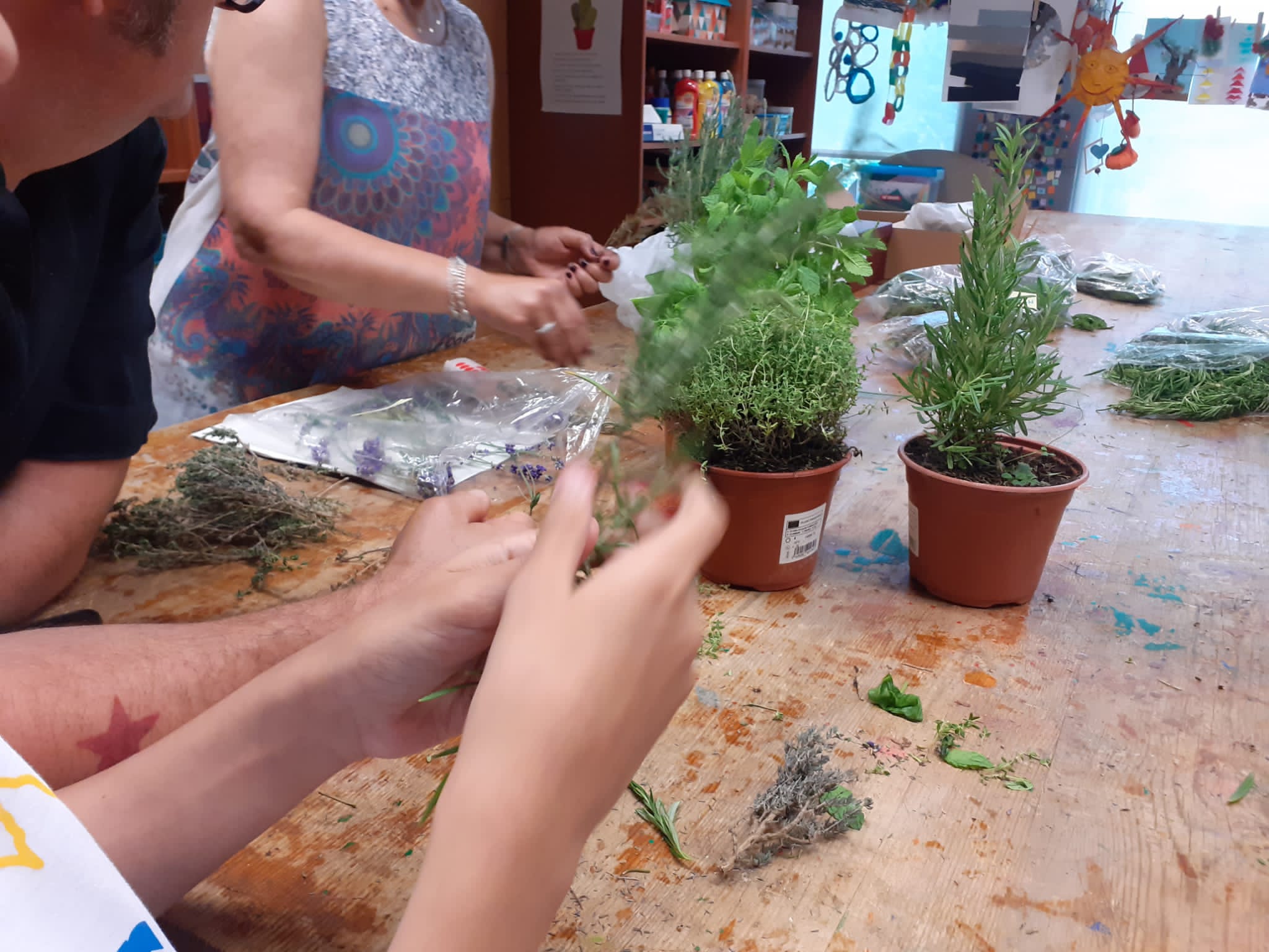 Taller de sensibilització