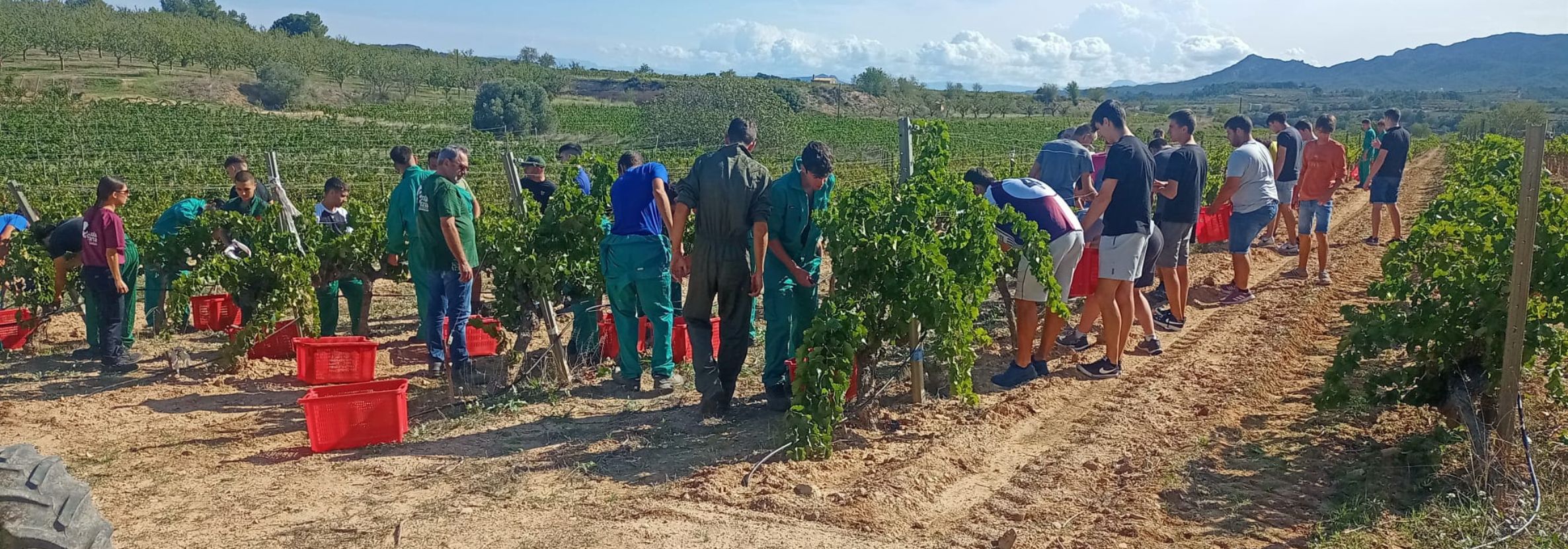 Disseny sense títol (11)