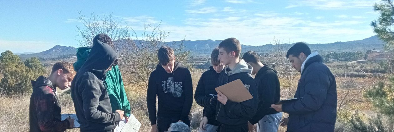 Disseny sense títol (14)