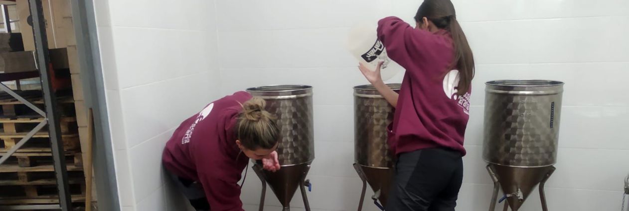 Disseny sense títol (18)