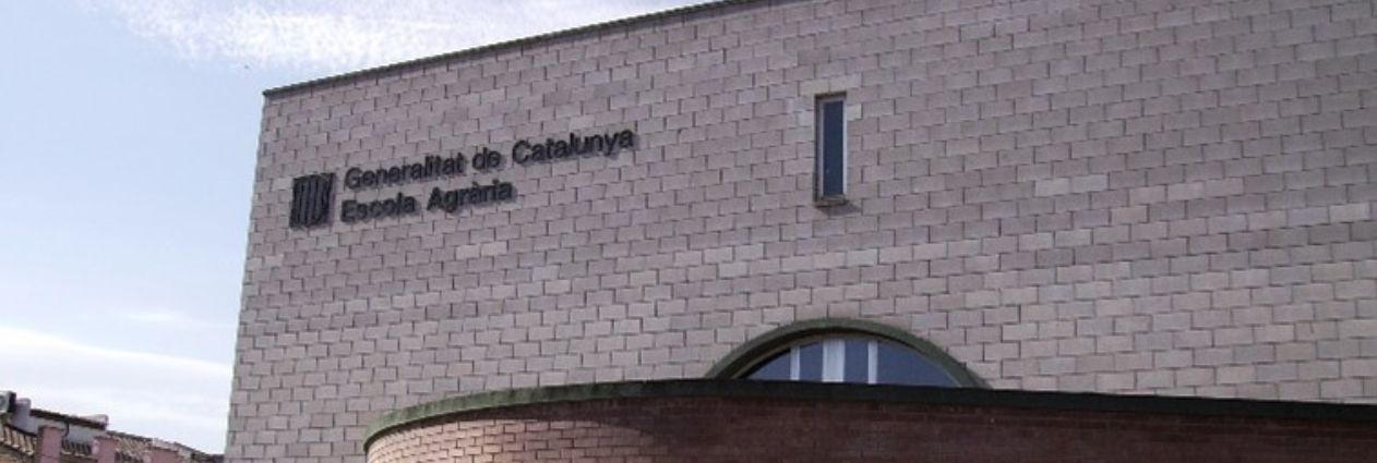 Disseny sense títol (20)