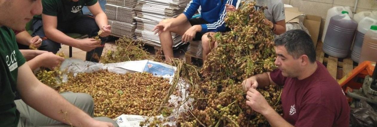 Disseny sense títol (24)