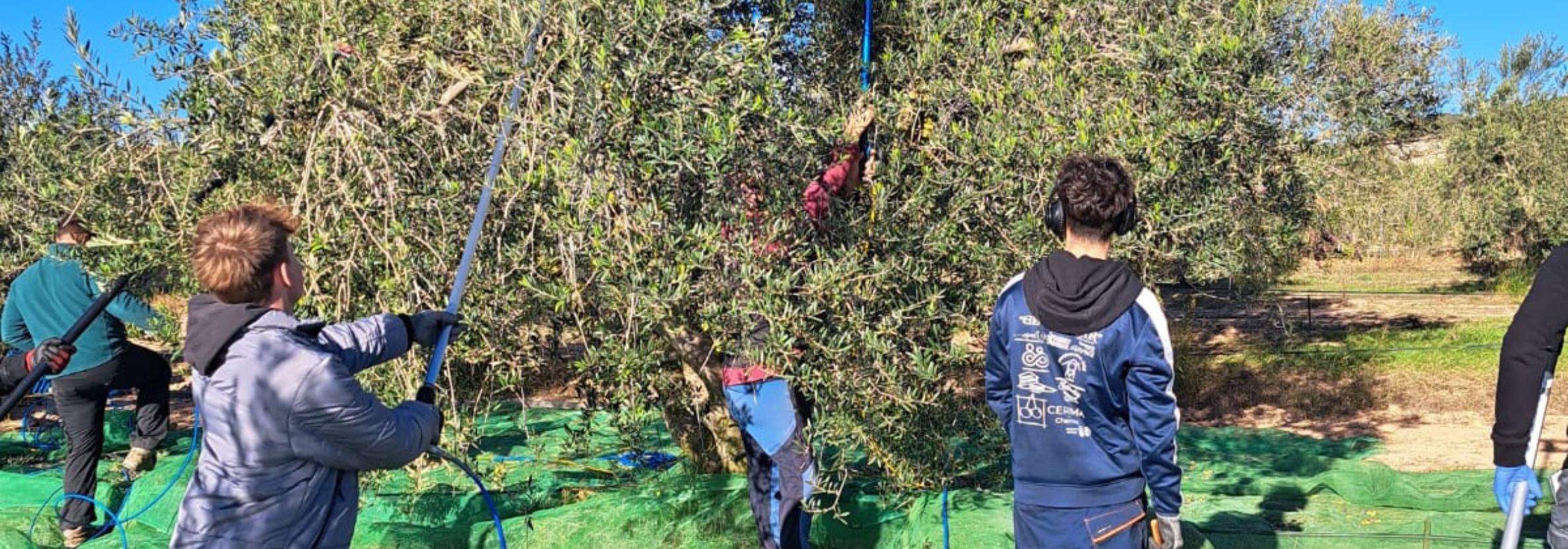 Disseny sense títol (8)