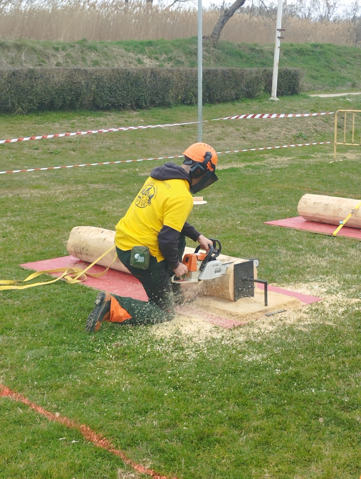 WhatsApp Image 2025-02-25 at 14.46.50