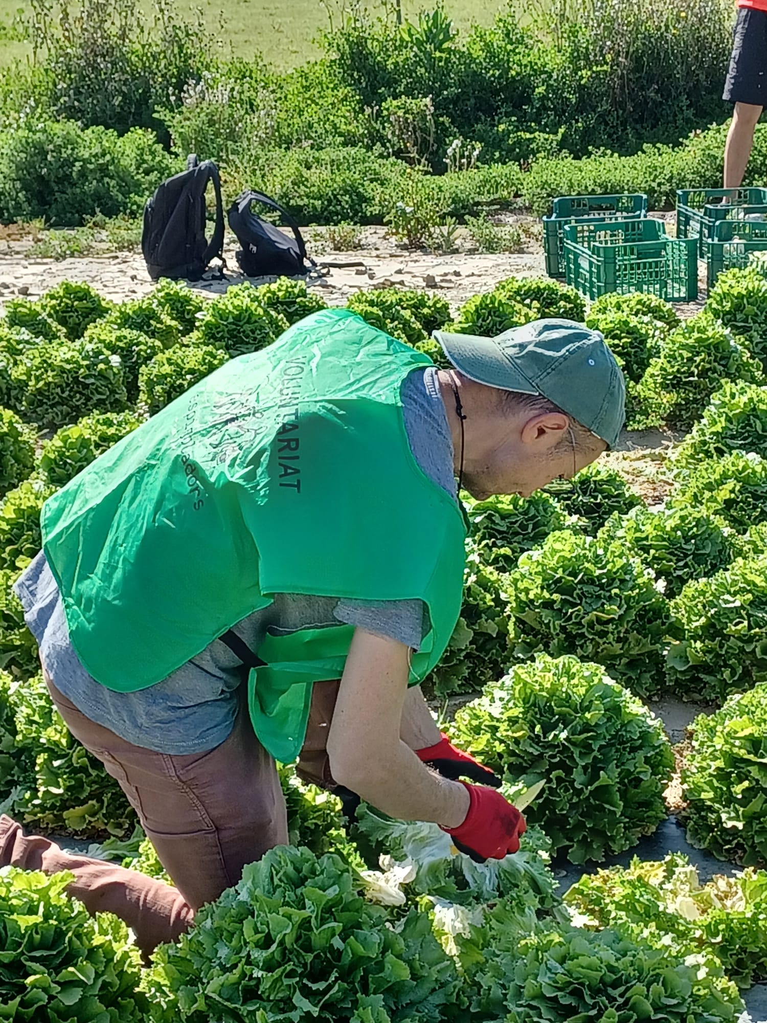 Imatge de WhatsApp 2025-04-07 a les 13.49.40_271da4af