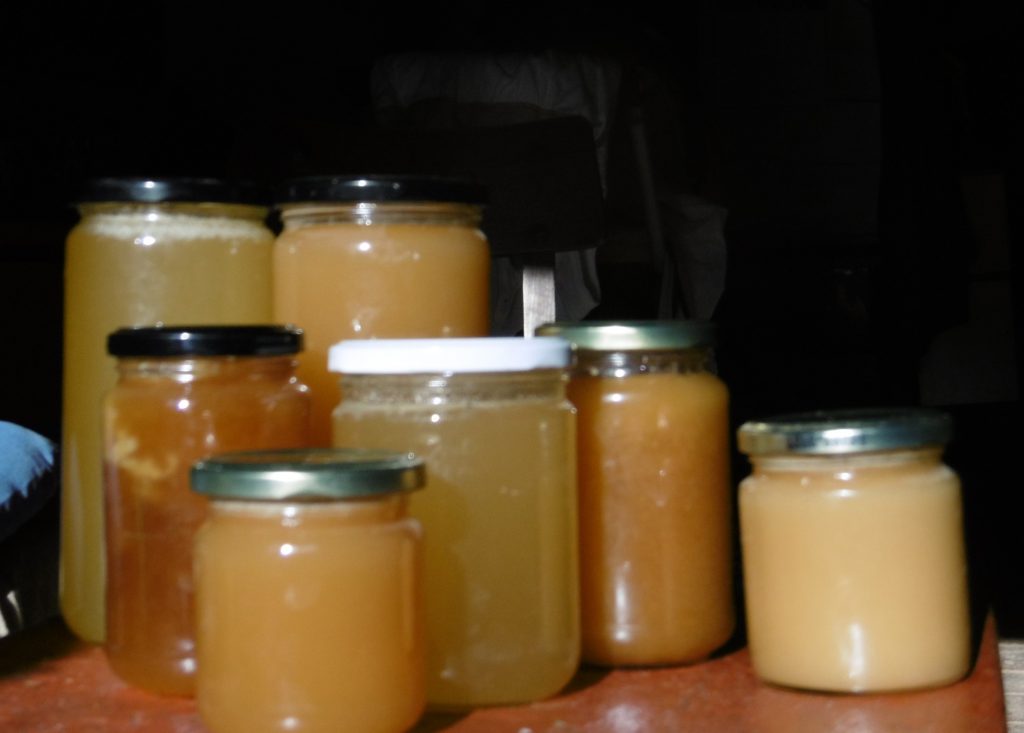 Jornada Tècnica Qualitat de la mel i els altres productes del rusc