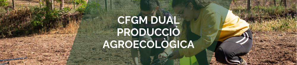 Cicle formatiu de grau mitjà dual de producció agroecologica