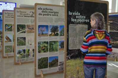 Exposició pedra seca en la biodiversitat natural - FUB abril 2024