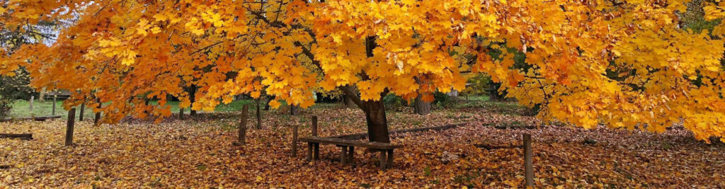 Curs control poblacional espècies cinegètiques