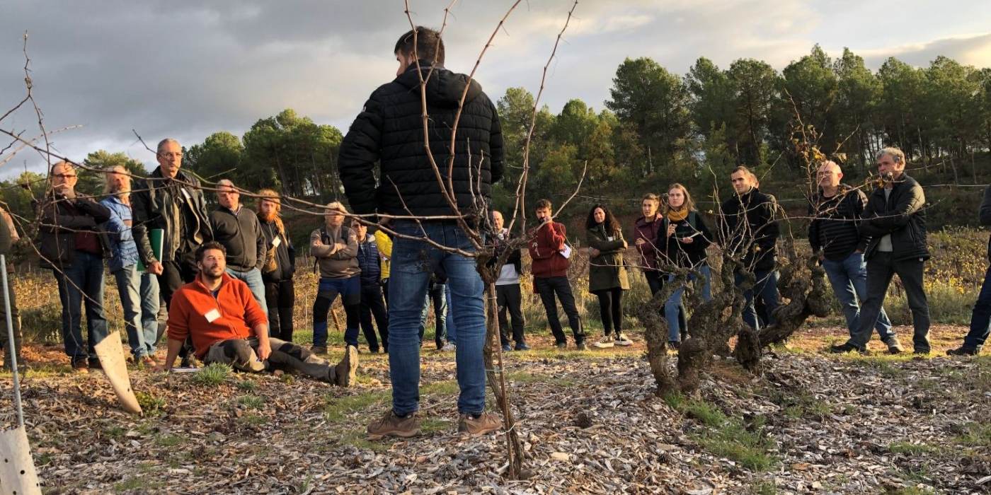 Jornada d'adaptació de la vinya al canvi climàtic