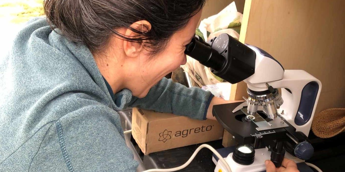 anàlisi de te de compost a l'Escola Agrària de Manresa