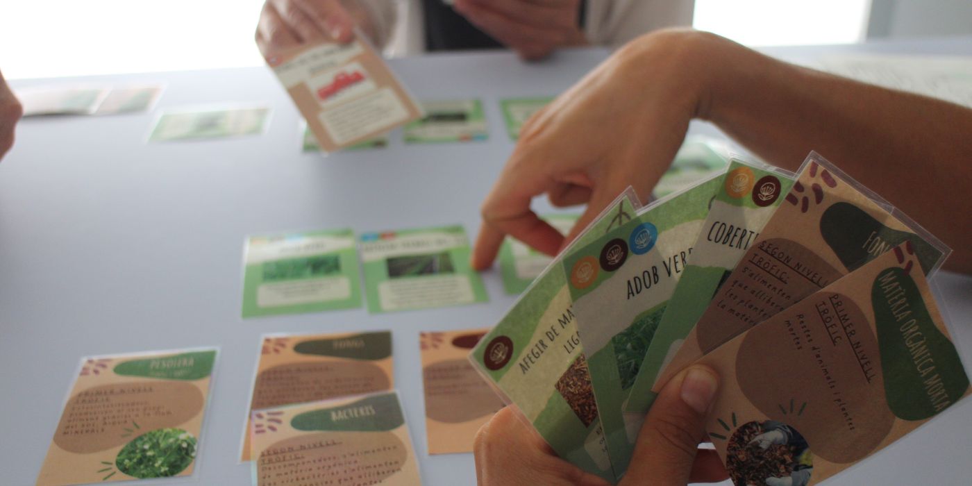 joc de cartes sobre el sòl viu