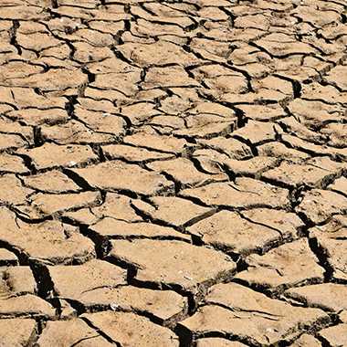 curs aigua i regeneració zones àrides