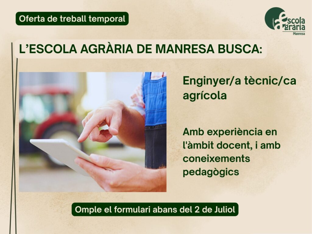oferta laboral