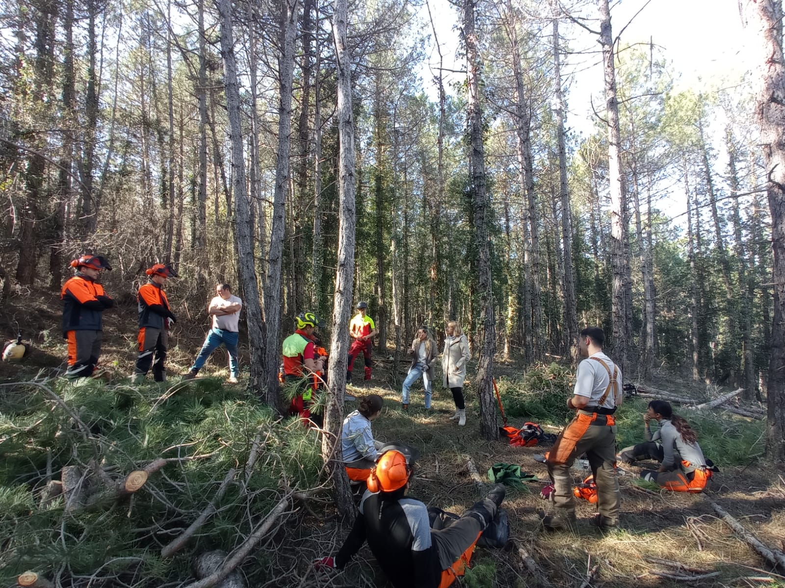 Alumnes del certificat treballant al Bosc Escola