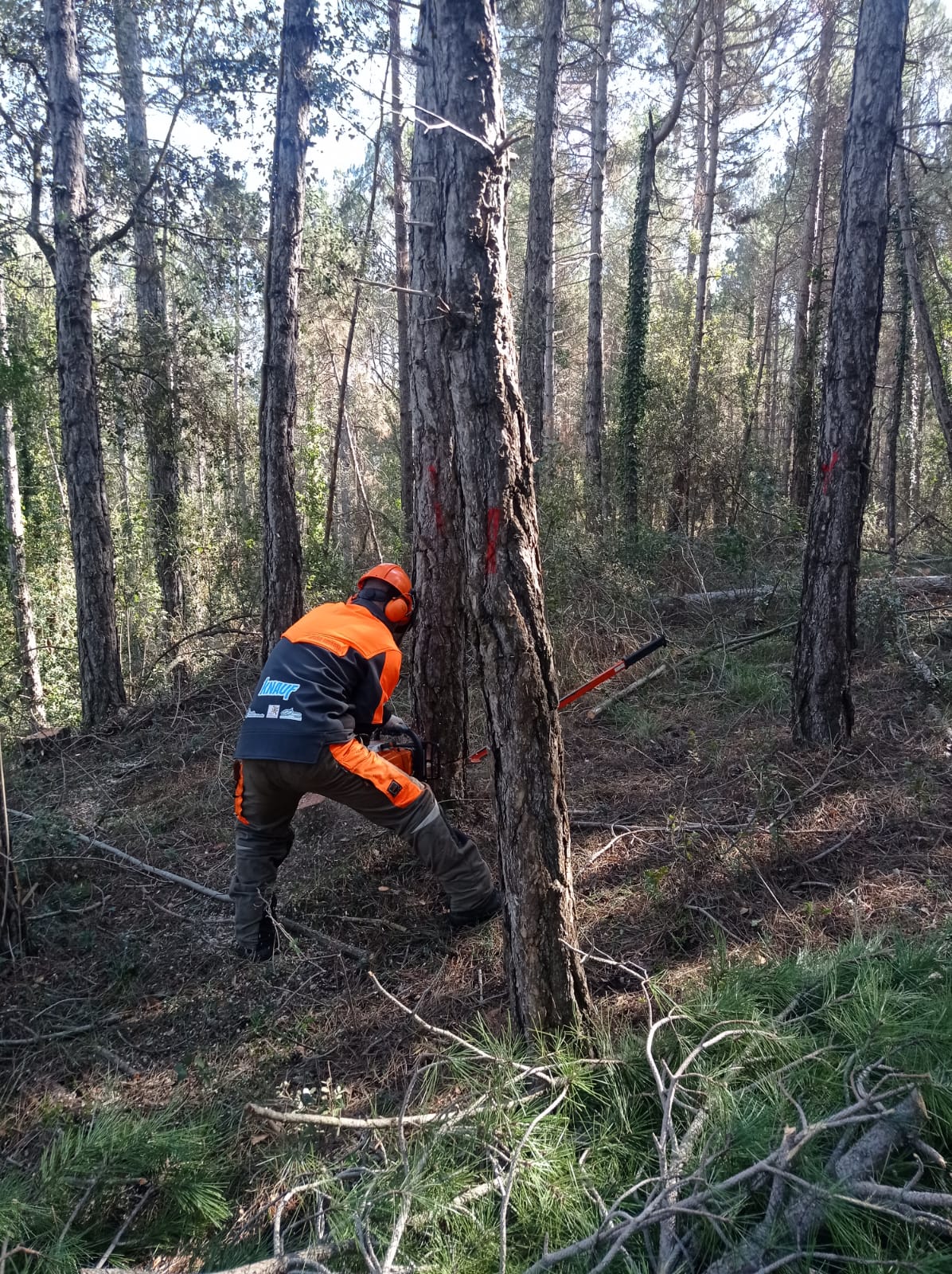 Equipació patrocinada per l'empresa KNAUF