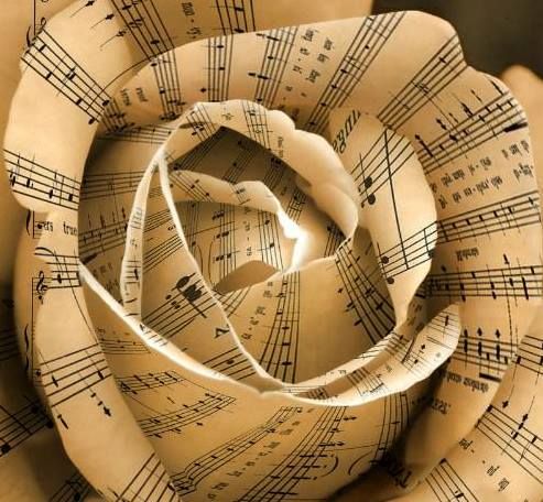 Rosa i Música