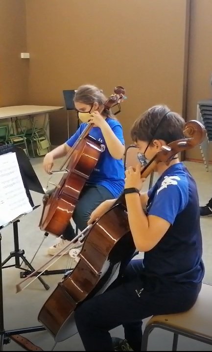 cellos