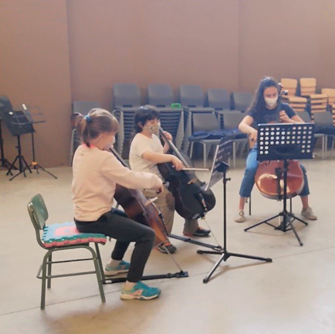 cellos
