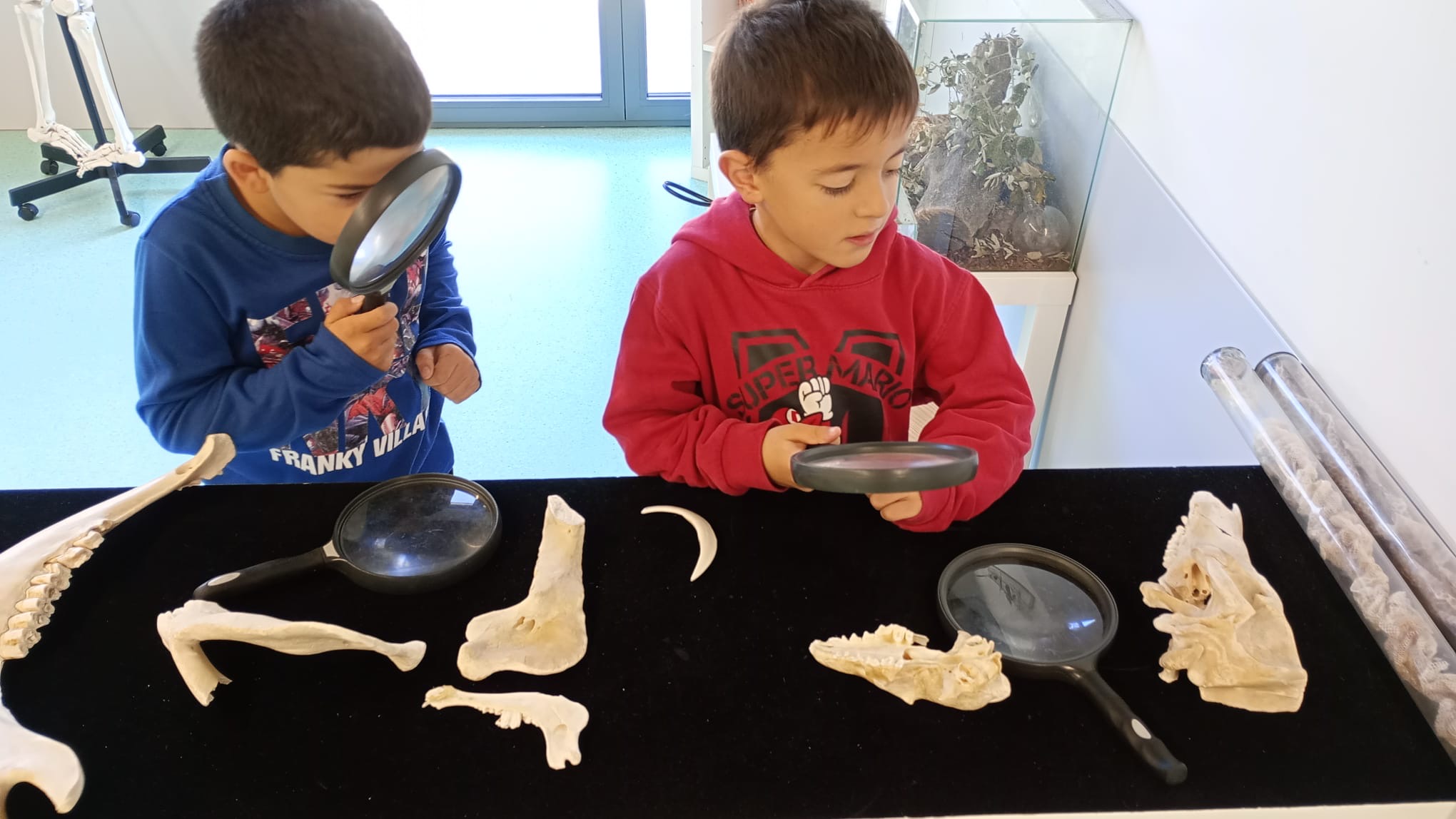 4b873324-e8a5-4f25-98d9-8e91d1bd10d4