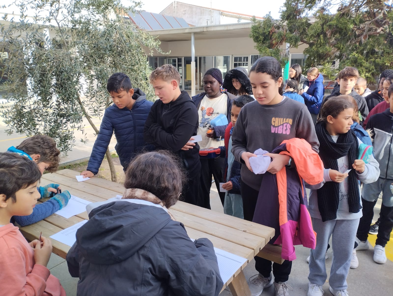 WhatsApp Image 2024-11-20 at 12.34.15