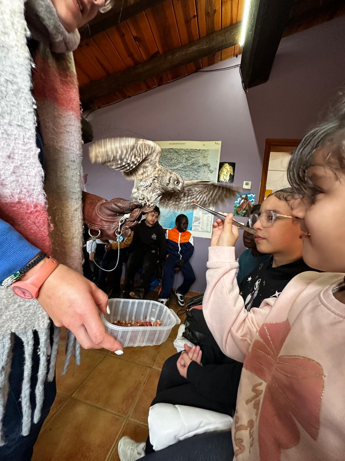 WhatsApp Image 2024-11-21 at 18.31.57 (1)