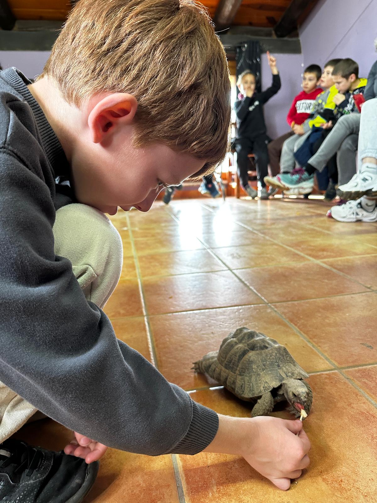 WhatsApp Image 2024-11-21 at 18.31.57 (2)