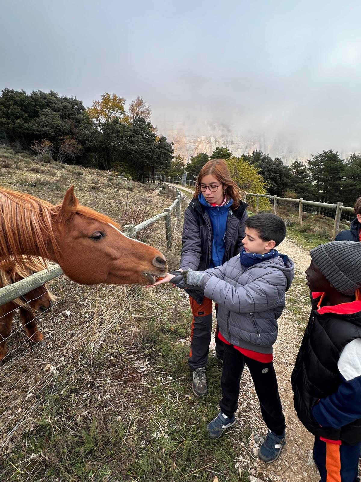 WhatsApp Image 2024-11-21 at 18.31.58