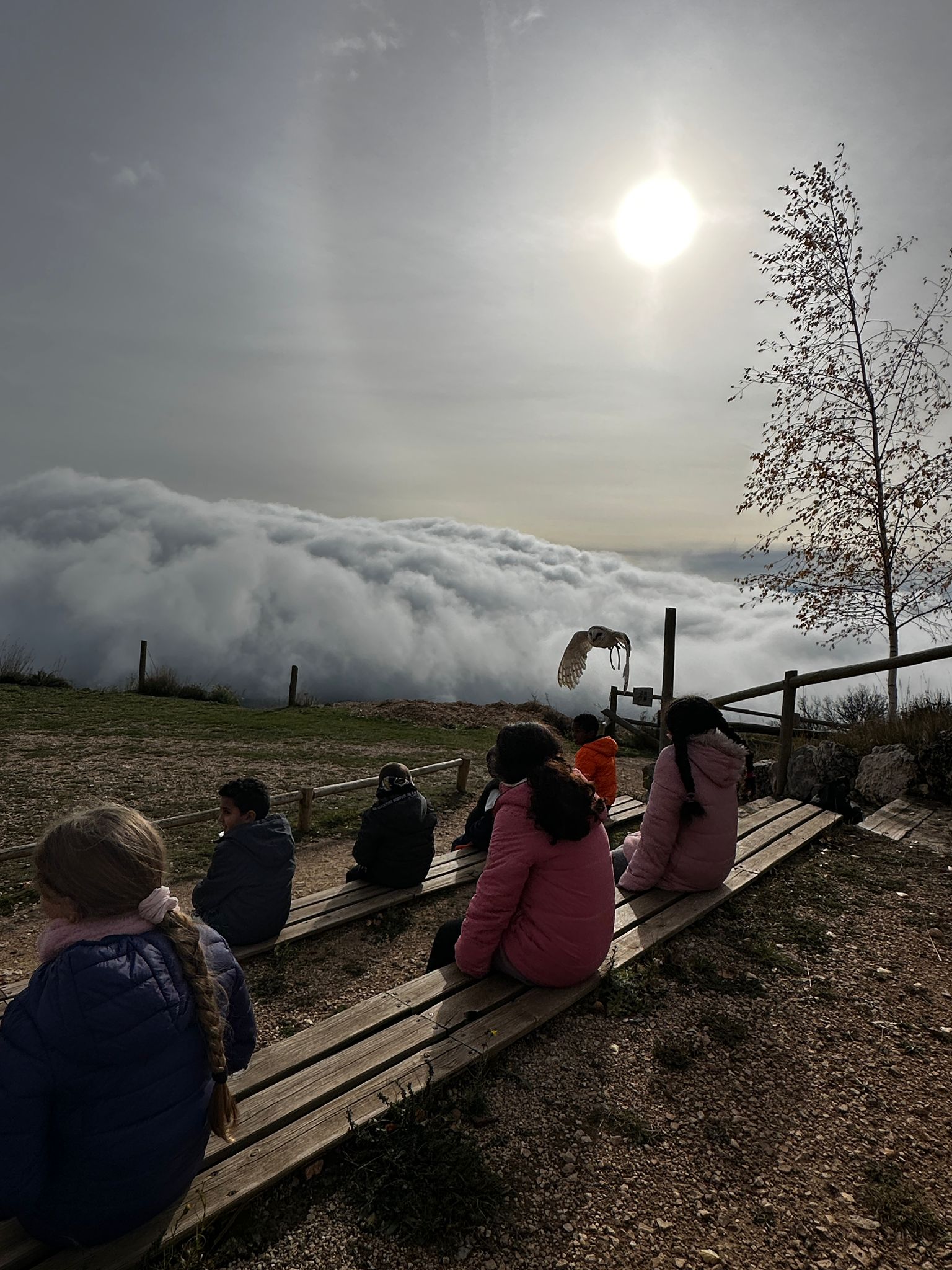 WhatsApp Image 2024-11-21 at 18.33.21