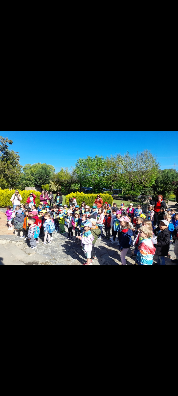 Screenshot_20250428-103539_Gallery