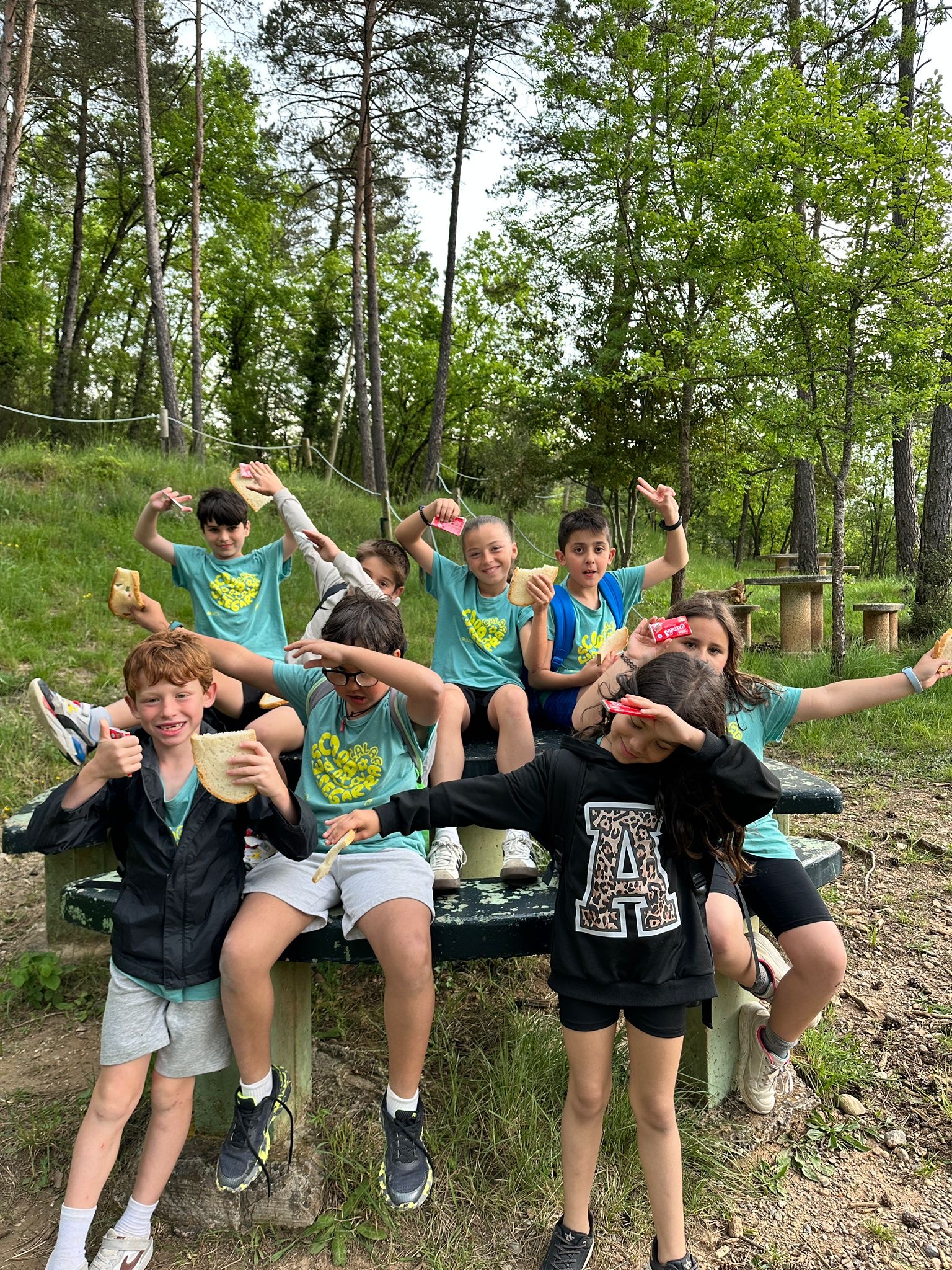 8d9fd086-bc5e-45ee-8188-74e862e060b9