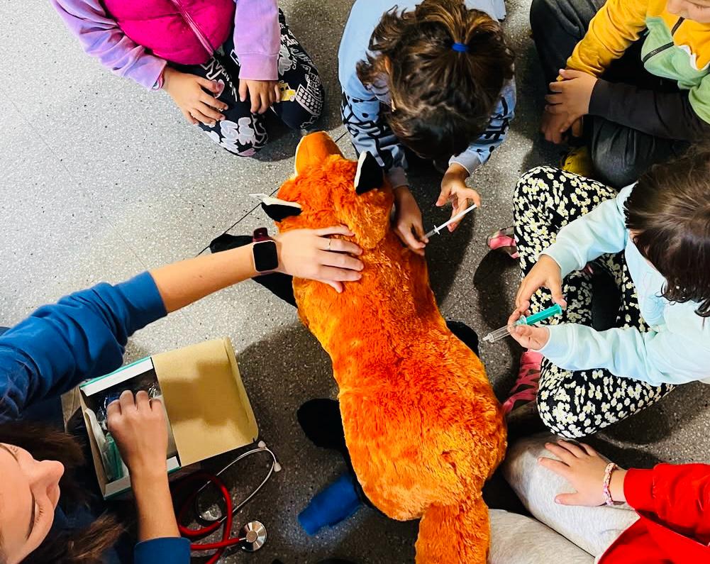 WhatsApp Image 2025-10-28 at 14.00.05 (5)