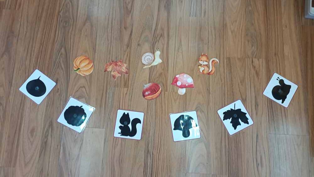 IMG_20251105_092918 (1)