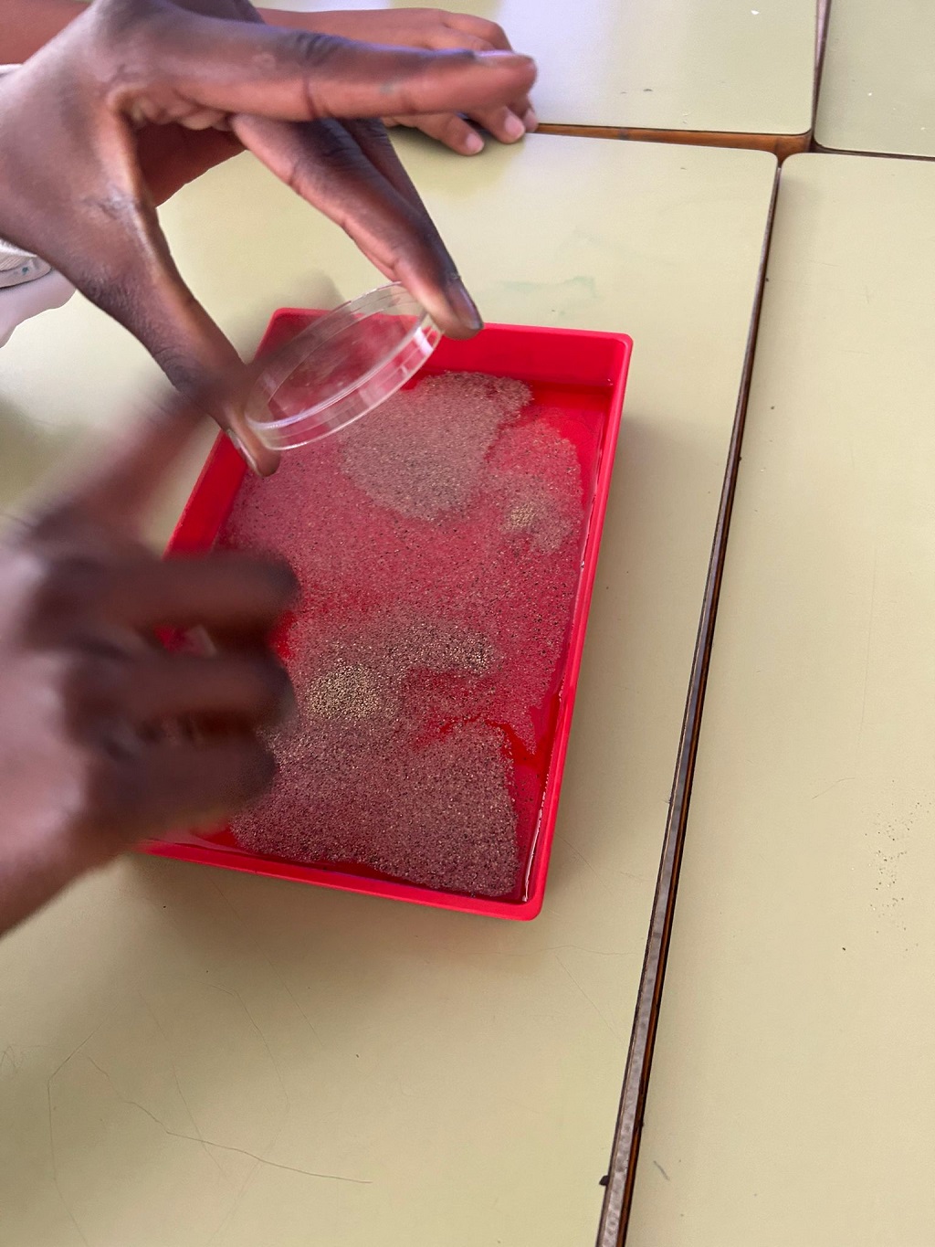 aba4dab2-f90c-412d-b02f-f96526814d2a