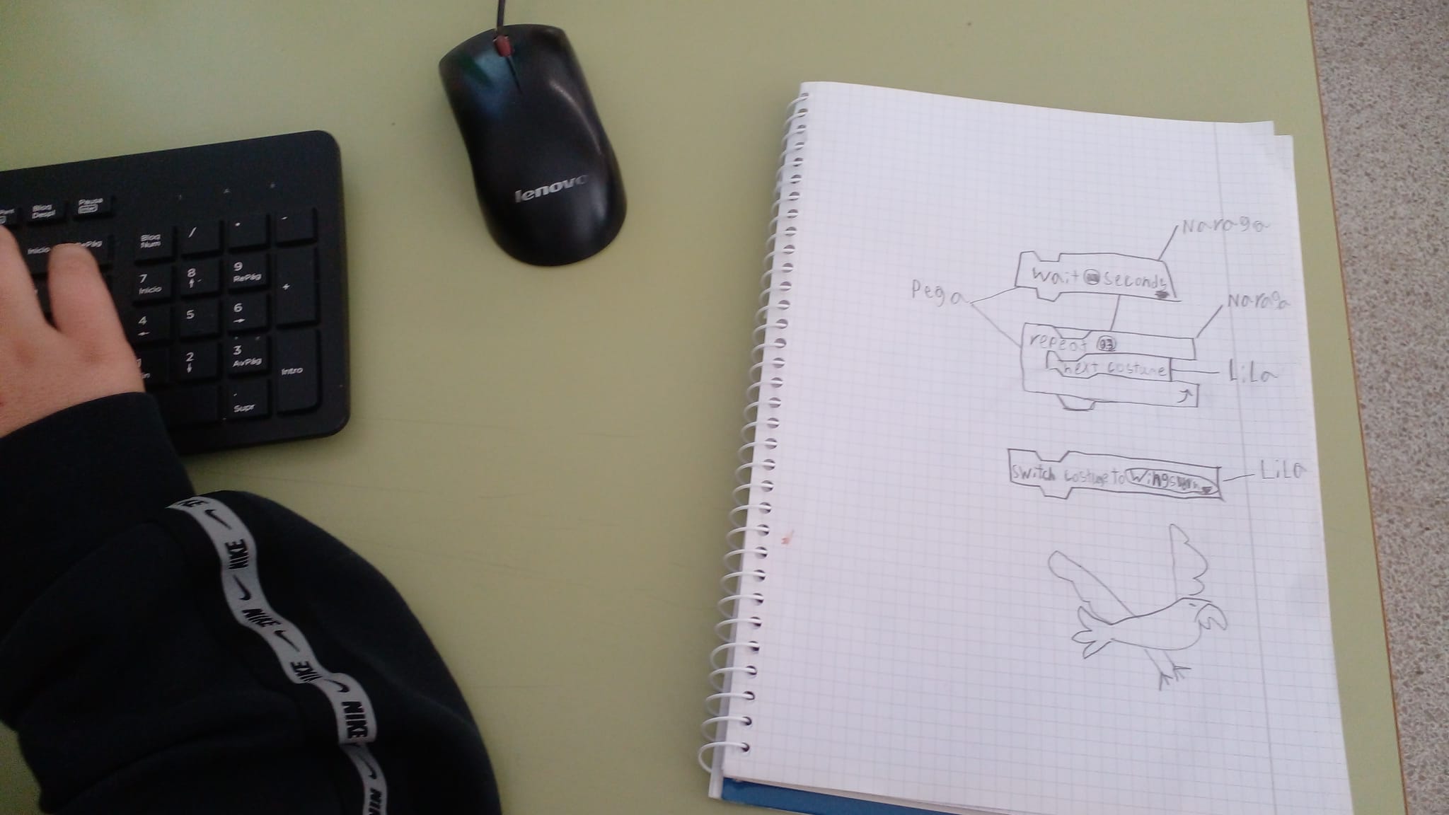 WhatsApp Image 2024-12-12 at 09.46.58