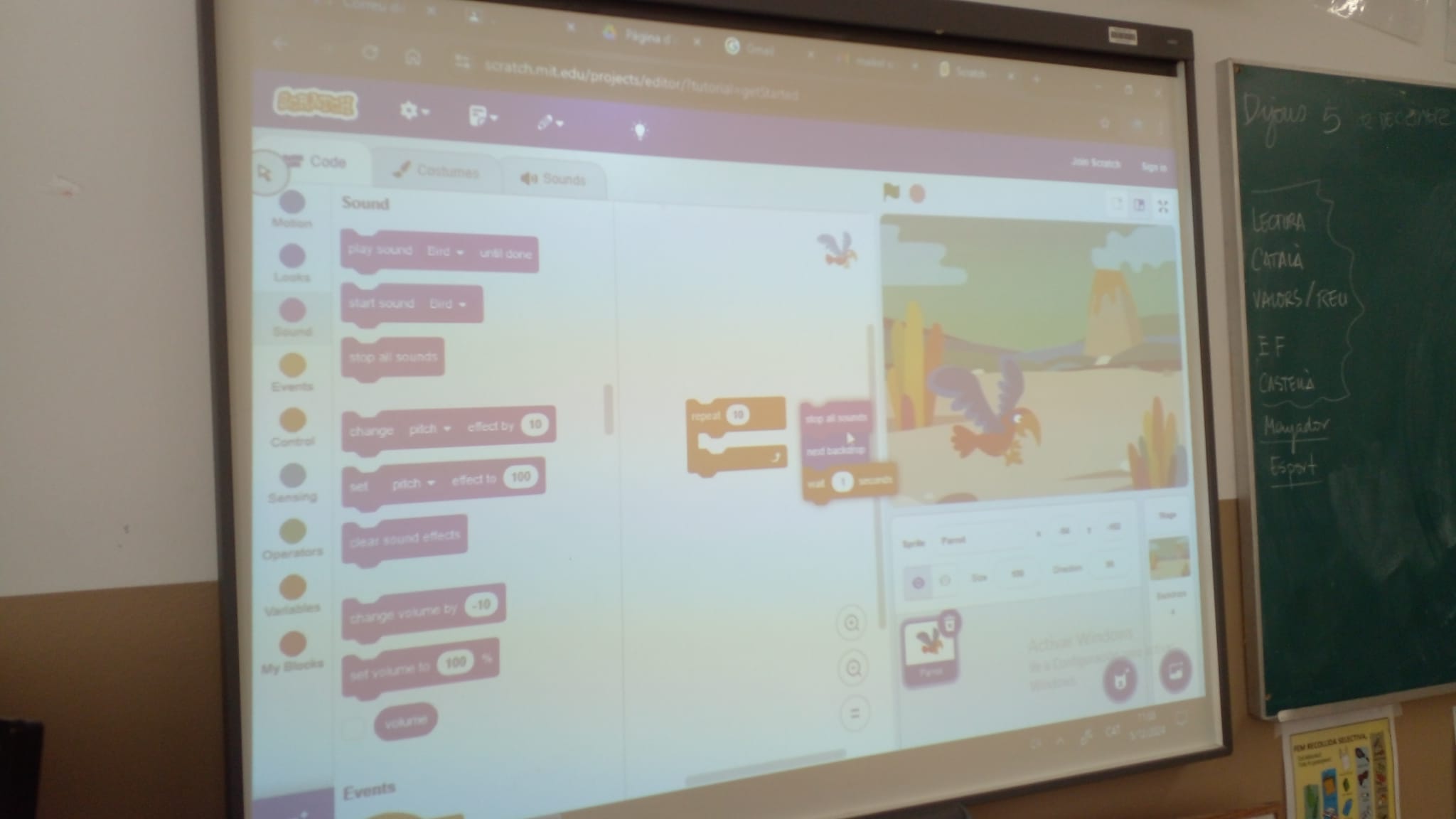 WhatsApp Image 2024-12-12 at 09.46.59