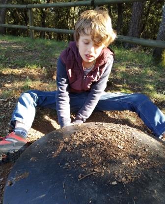 IMG_20200430_180116_1