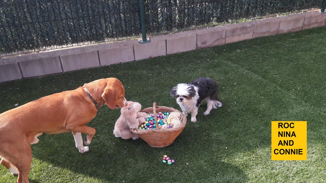 20200403_172923_Easy-Resize.com